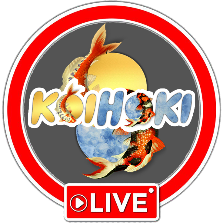 KOIHOKI